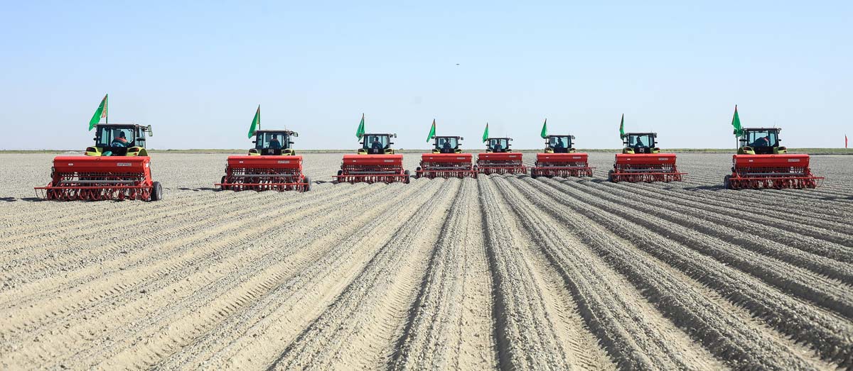 Winter wheat sowing has begun in Turkmenistan